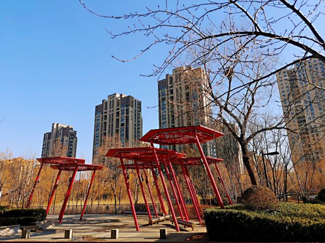 李村河生态全景示范园旅行图片 2