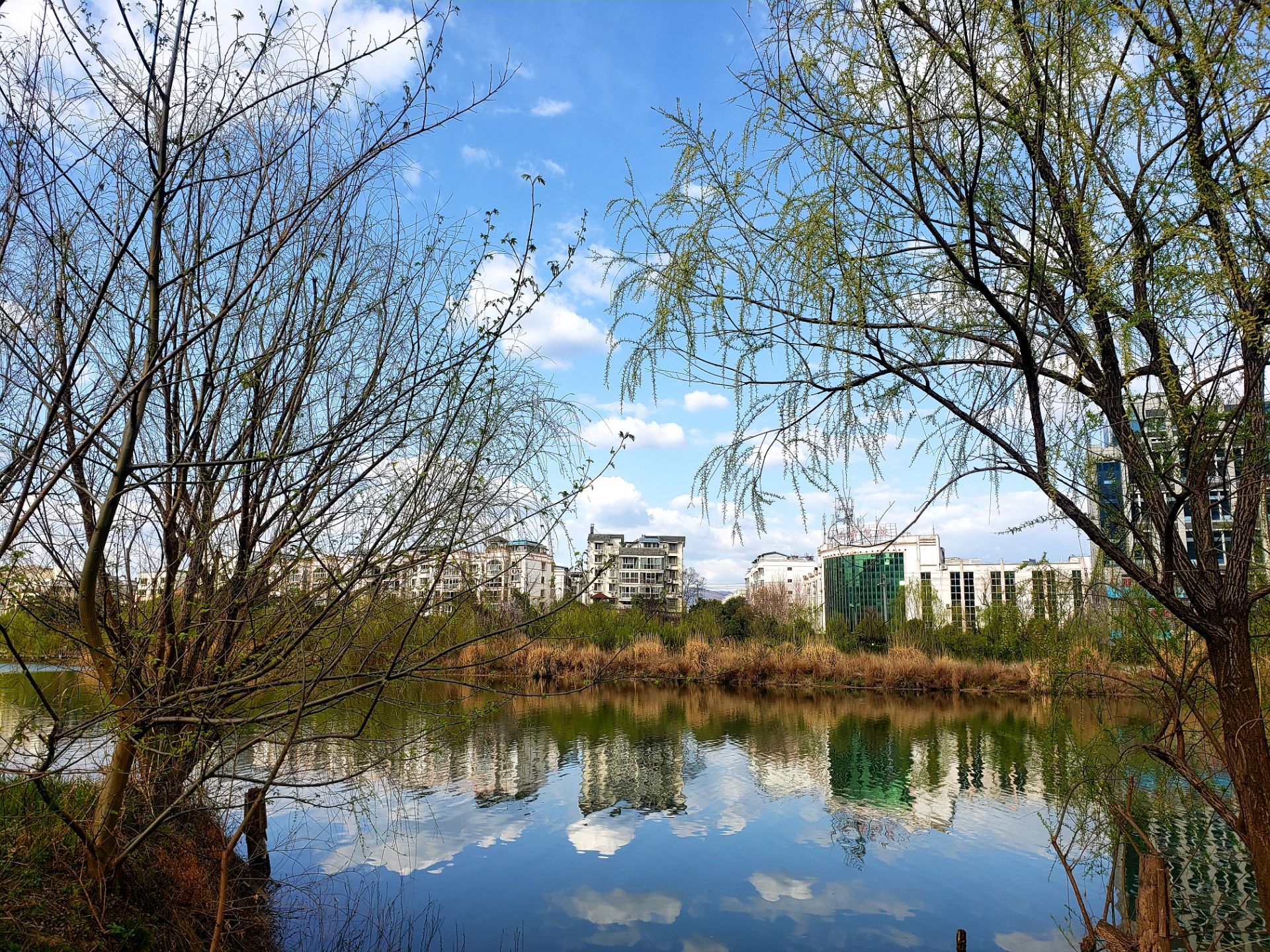 南河湿地公园
