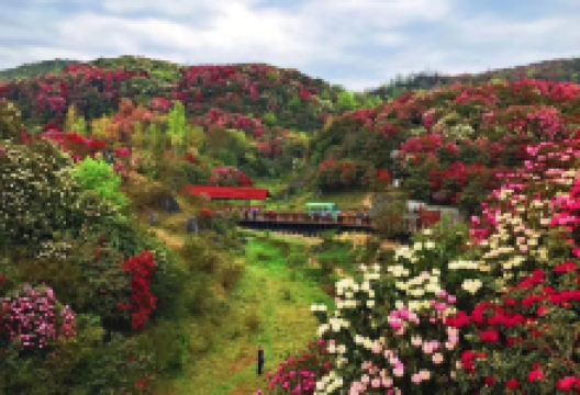 百花坪景点图片