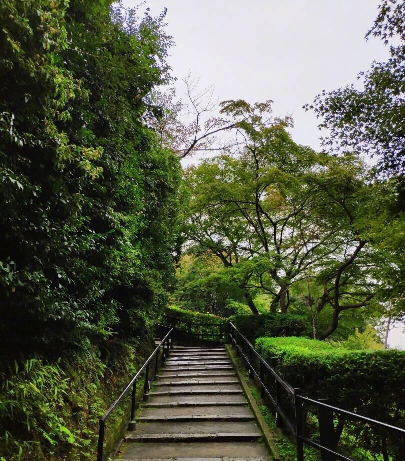 好运来西饼屋餐厅图片