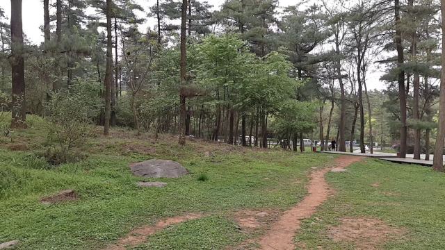 长坡岭国家森林公园旅行图片 2