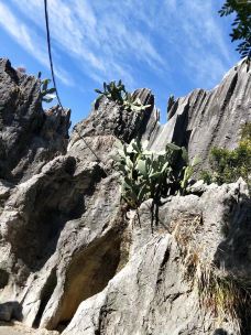 李子箐石林-石林-虹口小赤佬