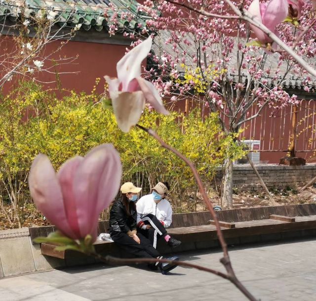 西河古镇旅行图片 1