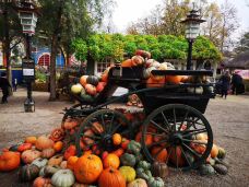 哥本哈根-非你不渴