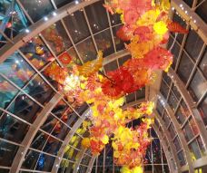 奇胡利玻璃艺术园-西雅图-世界美食游走达人