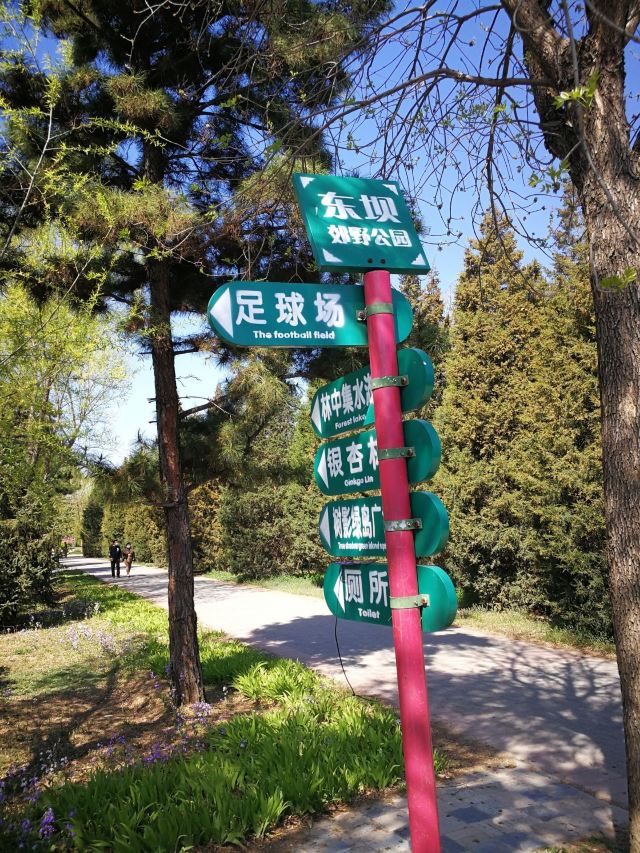 东坝公园旅行图片 1