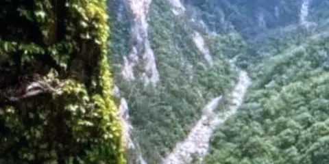 雉岳山國立公園