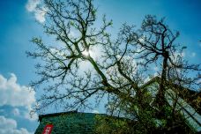 郪江古镇-三台-顺时针1986