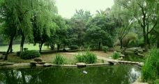 菊花塘公园-湘潭-老周就是不老