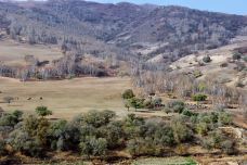 西拉沐沦大峡谷园区-克什克腾旗-Cherry2009