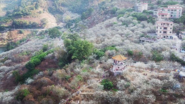 流溪河国家森林公园景点图片 12
