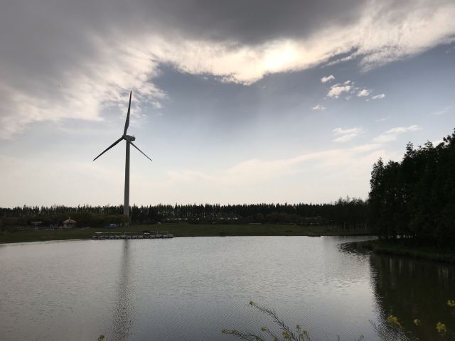 上海滨海森林公园旅行图片 2