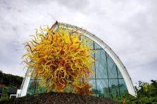 奇胡利玻璃艺术园-西雅图-小思文