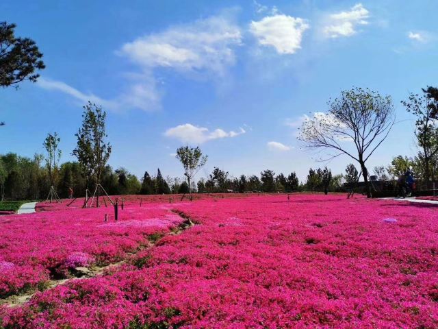 奥北森林公园二期北区旅行图片 1