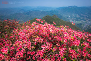 五一去哪玩？杭州市郊一个人少景美好玩的度假小镇，完整攻略在这