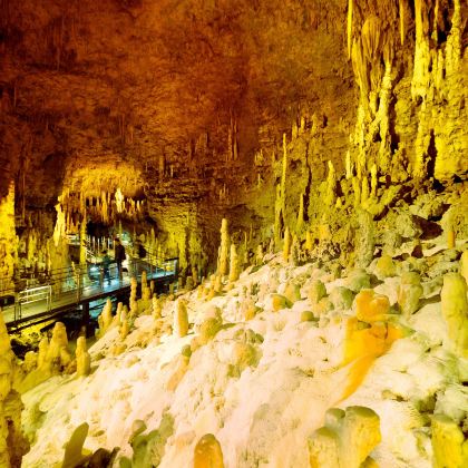 日本秋芳洞+元乃隅神社一日游【日本和布刈PA】