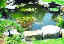 D. Woodbridge Ponds and Secret Garden景点图片