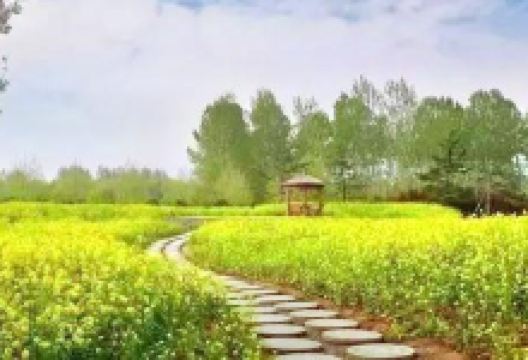 许昌站/胖东来时代广场旅游图片-长葛休闲1日游