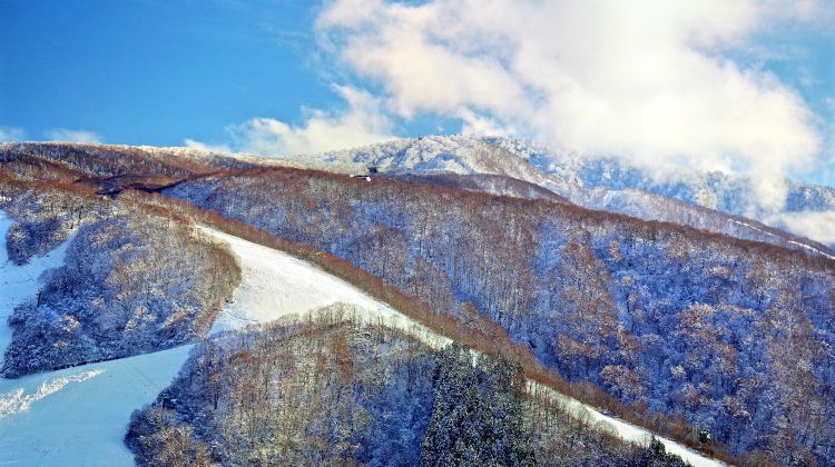 野澤溫泉滑雪場旅遊攻略指南 野澤溫泉滑雪場評價 野澤溫泉滑雪場附近推薦 Trip Com