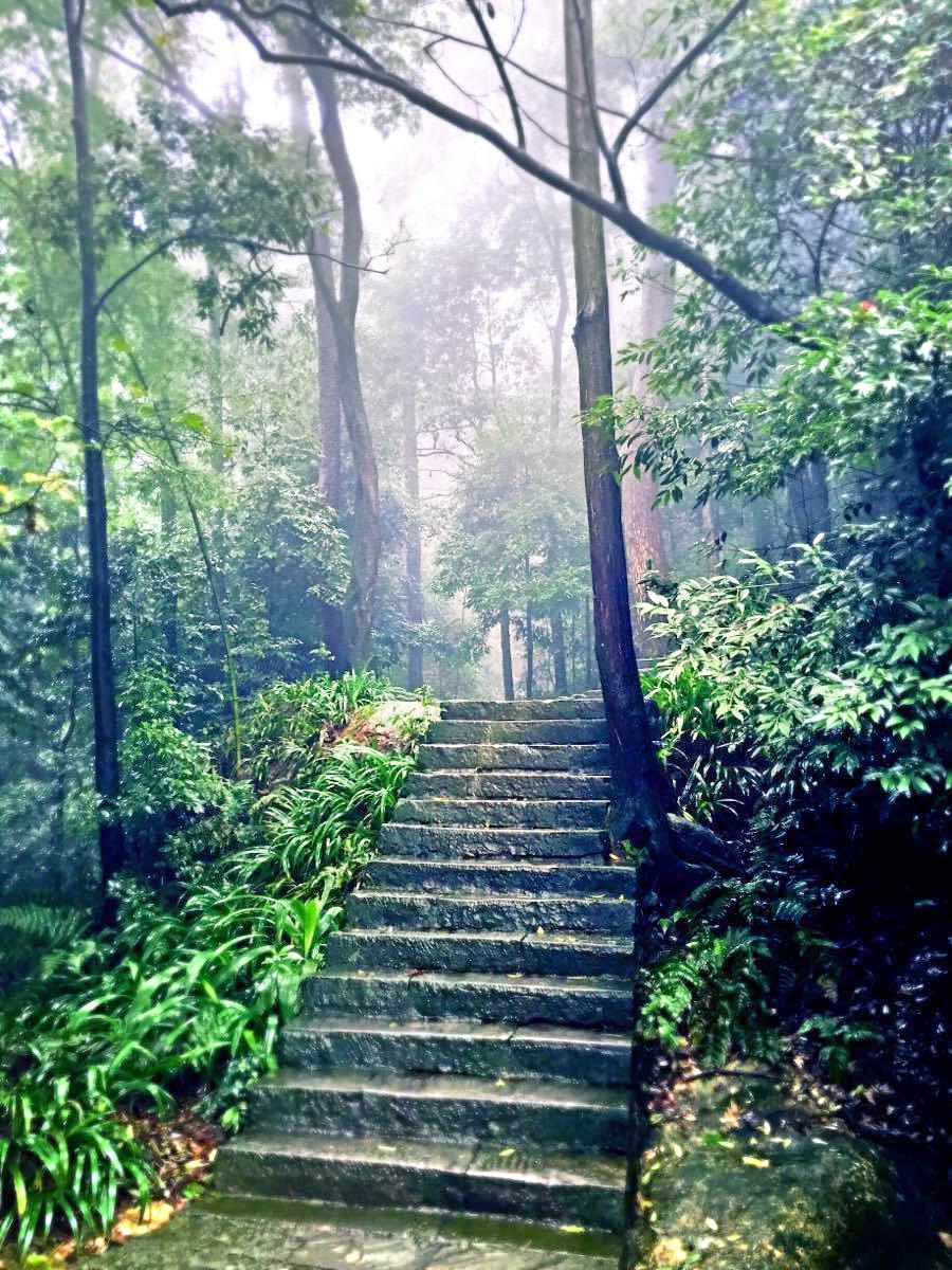缙云山生态旅游观光索道