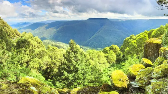 巴林頓山