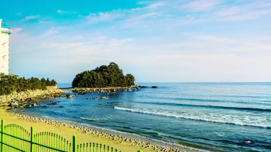 花津浦