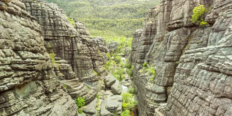 格蘭坪國家公園