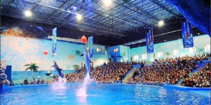 荊州小梅沙海洋館