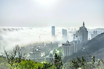 莲花山