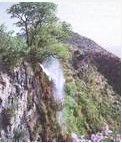 东山公园
