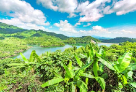 海南百花岭热带雨林文化旅游区景点图片