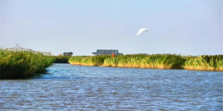 東方華地城濕地風景區