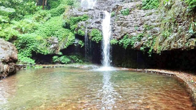 大桂山国家森林公园