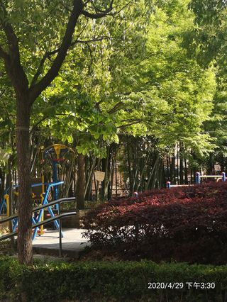 赏竹小区，想到郑板桥