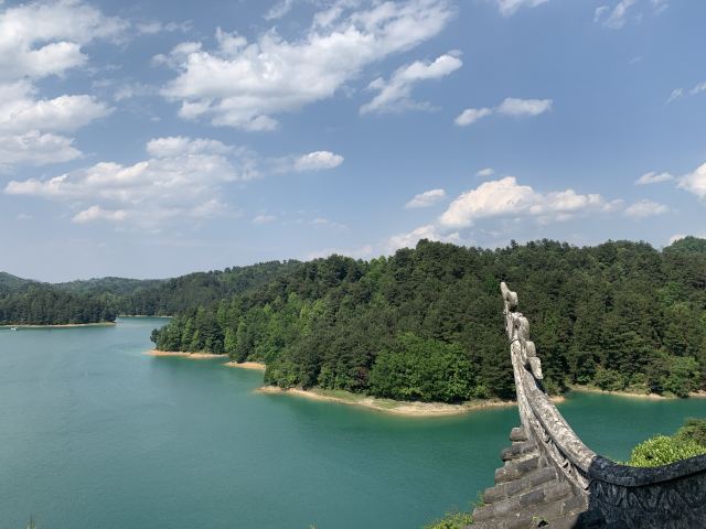 杜鹃湖旅行图片 3