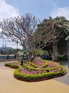 馬灣公園-香港-D23****498