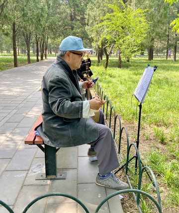 初夏的天壇公園枝盛葉綠，晨練的百姓回來了。