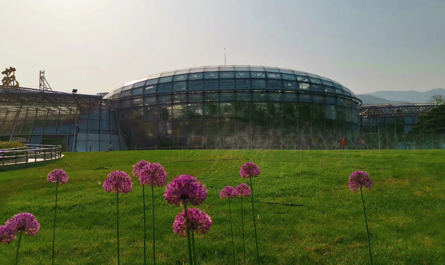 2020-4-30 北京植物园