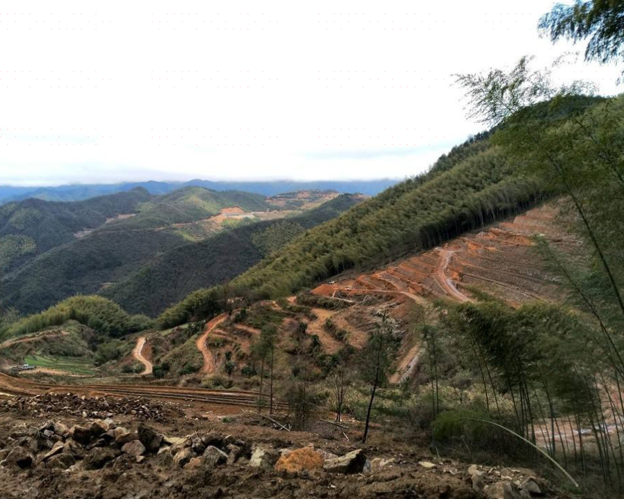 大栗岩