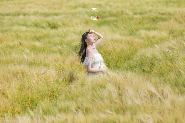 手写一封情书，给大理的柔软时光