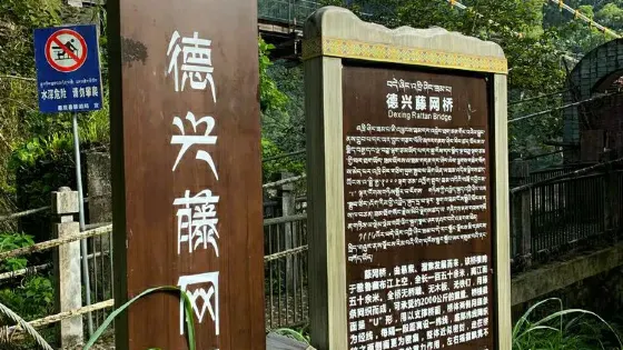 藤橋