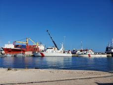 苏塞-Sousse Medina-摘星星的猫头鹰