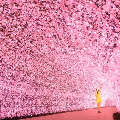 名花之乡一日游