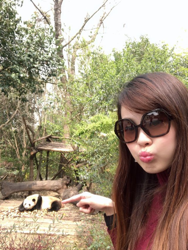 Chengdu Research Base of Giant Panda Breeding