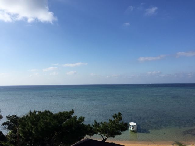 요네하라비치