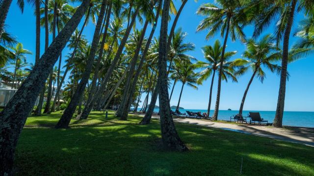 Palm Cove