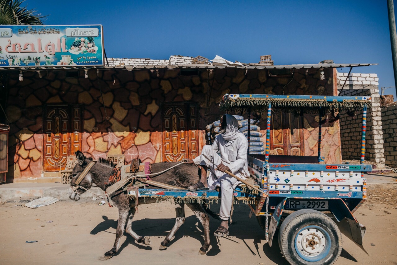 与世隔绝的神秘小镇，驴车是最实用的交通工具