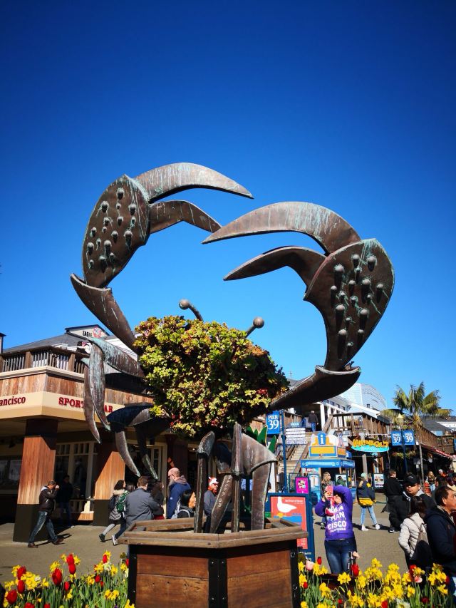 Fisherman's Wharf