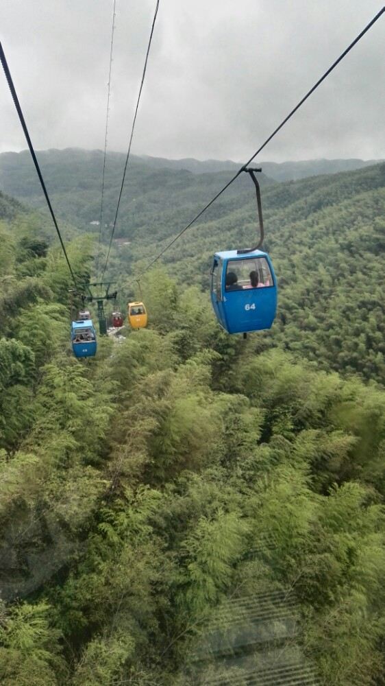 Shunan Zhuhai (“South Sichuan Bamboo Sea”) National Park