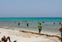 Kool Beach Club美食图片